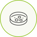 Selection of strains 참고이미지