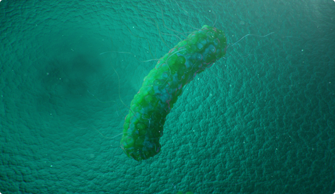 Probiotics for Each Stage of Life 참고이미지