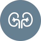 Kidney Health (GCWB108) 참고이미지